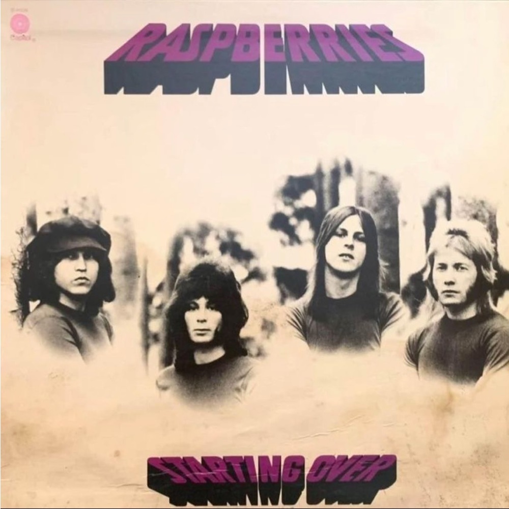 Vinyl Record - The Raspberries